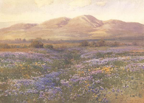 unknow artist Lupine in Kern County oil painting image